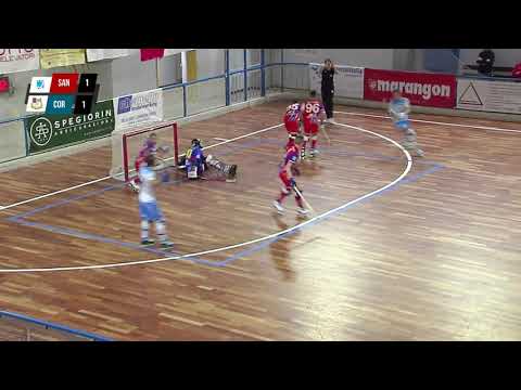 Resum del Telea Medical Sandrigo vs BDL Correggio