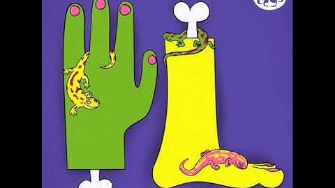 Daniel Steinberg - Lazy bones