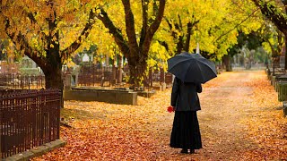 Funeral Pre-planning in Vaughan, Ontario