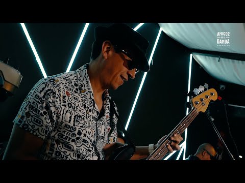 Vuela Vuela | Amigos de la Banda | Magneto Cover