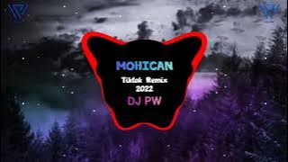 Mohican (DJPW版) 最后的莫西干人 谁能明白我 (The Last Of Mohicans) FkHouse Tiktok Remix 2024 抖音