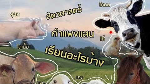 ว ชา เล อก เสร ม เกษตร กำอพงแสน