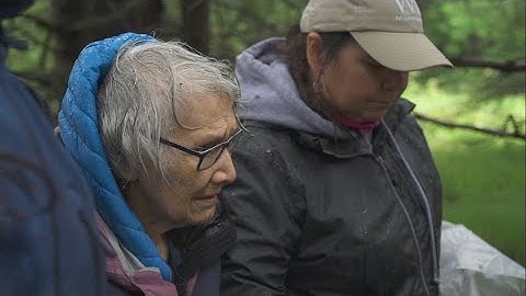 Harvesting, Processing Spruce Roots with Master Haida Weaver
