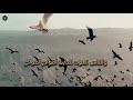 نهاية هذة الدنيا كلمات تزلزل القلوب لمن الملك اليوم الشيخ عبد الرحمن الباهلي