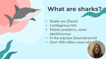 Sharks: Apex Predators, Keystone Species, and the Crisis of Overexploitation by Danielle Such