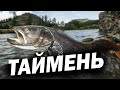 💥РЕЧНОЙ МОНСТР / Невероятный случай на таежной реке/