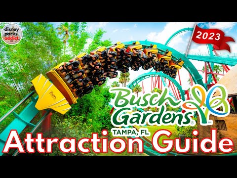 Бейне: Busch Gardens Tampa - Ұлы тақырыптық саябақ пен хайуанаттар бағы