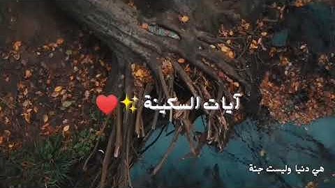 آيات السكينة ✨|بصوت الشيخ سعد الغامدي