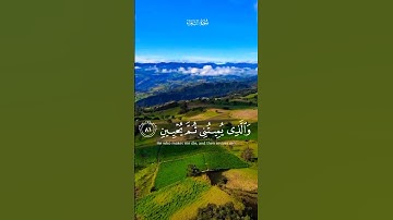 القرآن الكريم_من الآية ٧٨ إلى الآية ٨٣ من سورة الشعراء "الذي خلقني فهو يهدين"