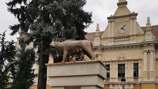 Pe linia 31, RAT Brașov, întreg traseul, 31.10.2024