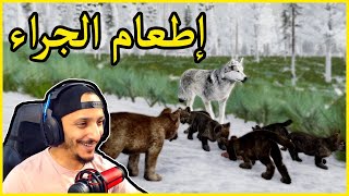 حياة الذيب #7 | خروج الجراء من البيت Wolf Quest