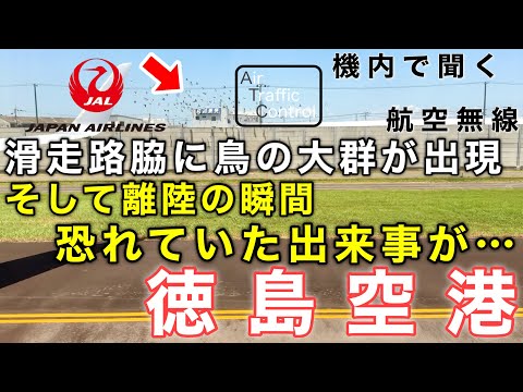 【ATC 字幕/翻訳付】『一歩間違えれば大変なことに… 離陸の瞬間に恐れていた出来事が…』機内で航空無線を聞く！徳島空港 離陸編