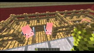 Minecraft - Piglet Organizer