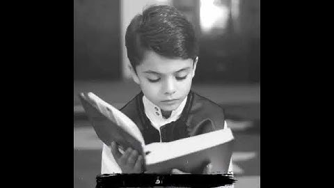 القارئ الشيخ ماهر المعيقلي حالات واتس اب قران كريم