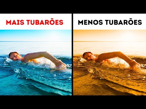 Vídeo: 5 Dicas Para Sobreviver A Um Ataque De Tubarão