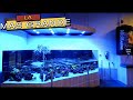 LA SUPER TIENDA DE ACUARIOS MAS FAMOSA DEL MUNDO @World Wide Corals|||||😲🐟🐠