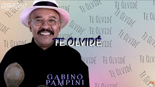 Te Olvidé - @gabinopampinioficial  (Audio Oficial)