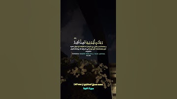 محمد صديق المنشاوي (سورة/ التوبة)#محمد_صديق_المنشاوي #سورة_التوبة