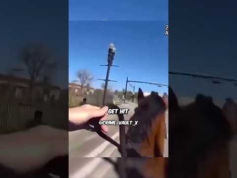 Florida Police on Horseback Chase Down Drug Suspect!