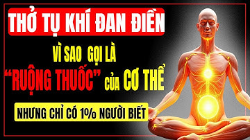 Chỉ 1% Người Biết: Thở Tụ Khí Đan Điền – Bí Quyết Trường Thọ Ngàn Năm