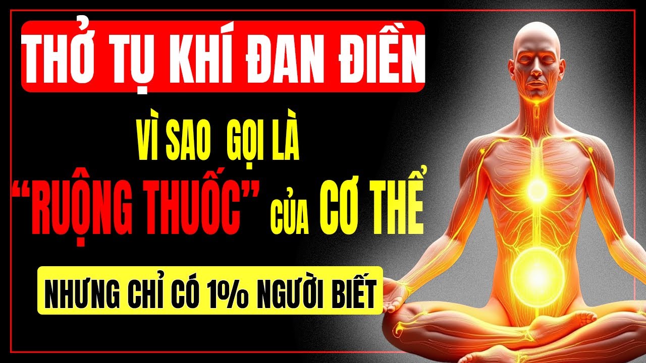 Chỉ 1% Người Biết: Thở Tụ Khí Đan Điền – Bí Quyết Trường Thọ Ngàn Năm