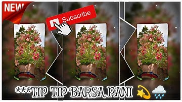 TIP TIP BARSA PANI 💫🌧️XML FILE ALIGHT MOTION VIDEO EDTING NEW TREND NEW XML FILE