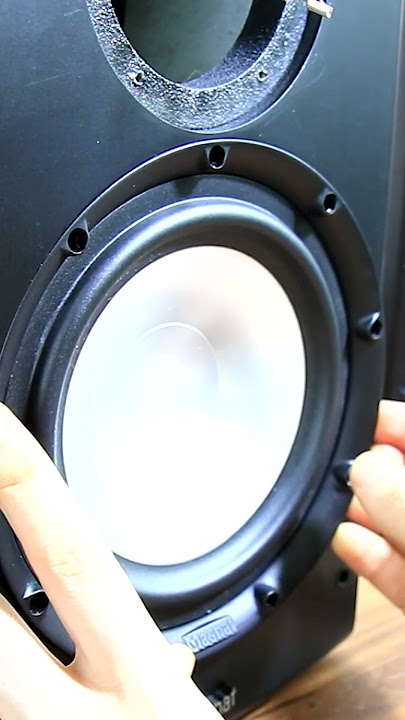 Magnat Quantum Bass driver