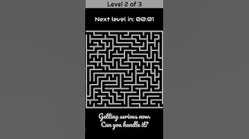 Maze Puzzle Challenge! 🧠 Can You Solve All 3 Levels?
