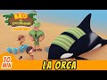 La Orca (Español) - Leo, El Explorador Episodio Completo | Animación - Familia - Niños