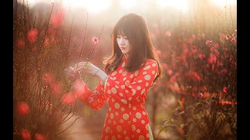 Liên Khúc Nhạc Xuân Remix 2020 - Nhạc Tết 2020 Mới Nhất Chào Mừng Năm Canh Tý