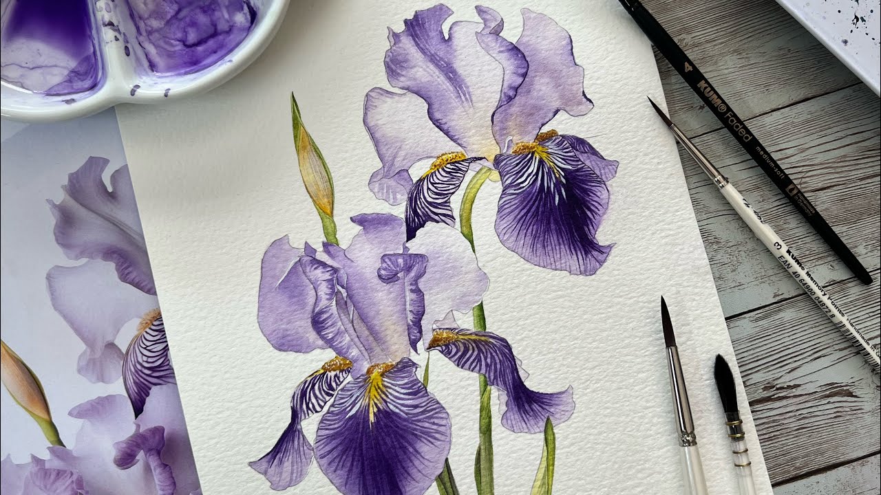2024 Watercolour Project Pack Paint Along Irises YouTube Maxresdefault
