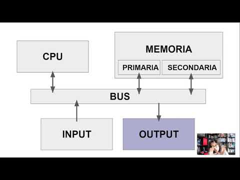 Video: Quali sono i quattro dispositivi di uscita?