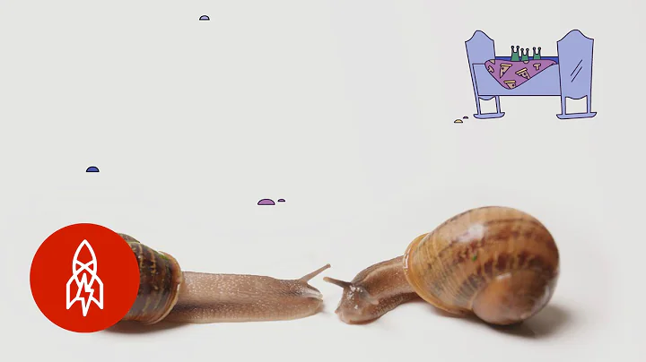 This Backward Snail Just Wants to Find Love