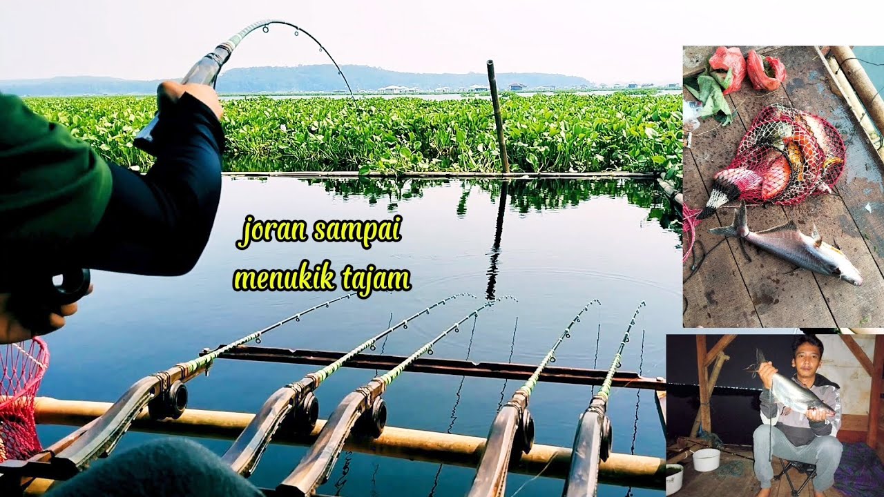 Mancing cirata terbaru 2025 // nyoba camp fishing di spot paporit hasilnya memuaskan (joran lentud) 
