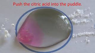 Fruit skin and fruit dyes as indicators
Microscale investigations with fruit skin and fruit dyes as indicators Fruit skin and fruit dyes as indicators