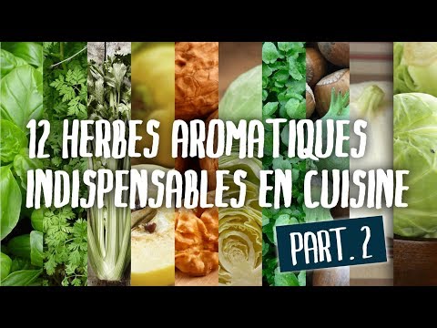 Vidéo: Herbes Pour Furoncles. Partie 2