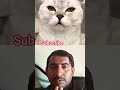 #cat #catlover #pets #funny #cats #whatshouldpuffdo #comedy #memes #duet #thatlittlepuff #shorts