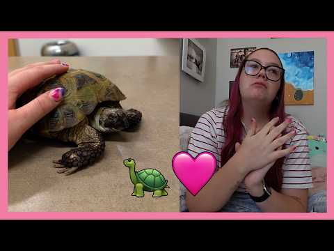 Saying Bye to Shelly 🐢... Let's Talk About It 😕