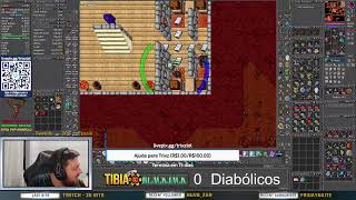 TIBIA GLOBAL🔰 EK 1000+ 🏹 RP 650+ | SERVIDOR HONBRA