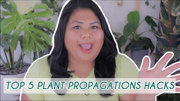PLANT PROPAGATION HACKS you have to try in 2022