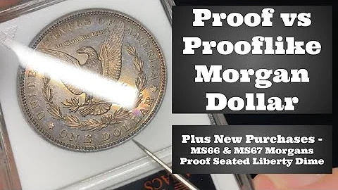 Proof & Prooflike Morgan Dollars - How to Tell the Difference - MS66 & MS67 Morgans, Proof 1879 Dime