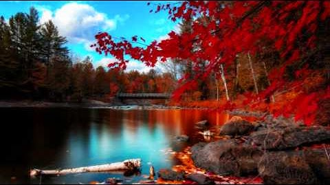 101 STRINGS ORCHESTRA - HOMEWARD BOUND