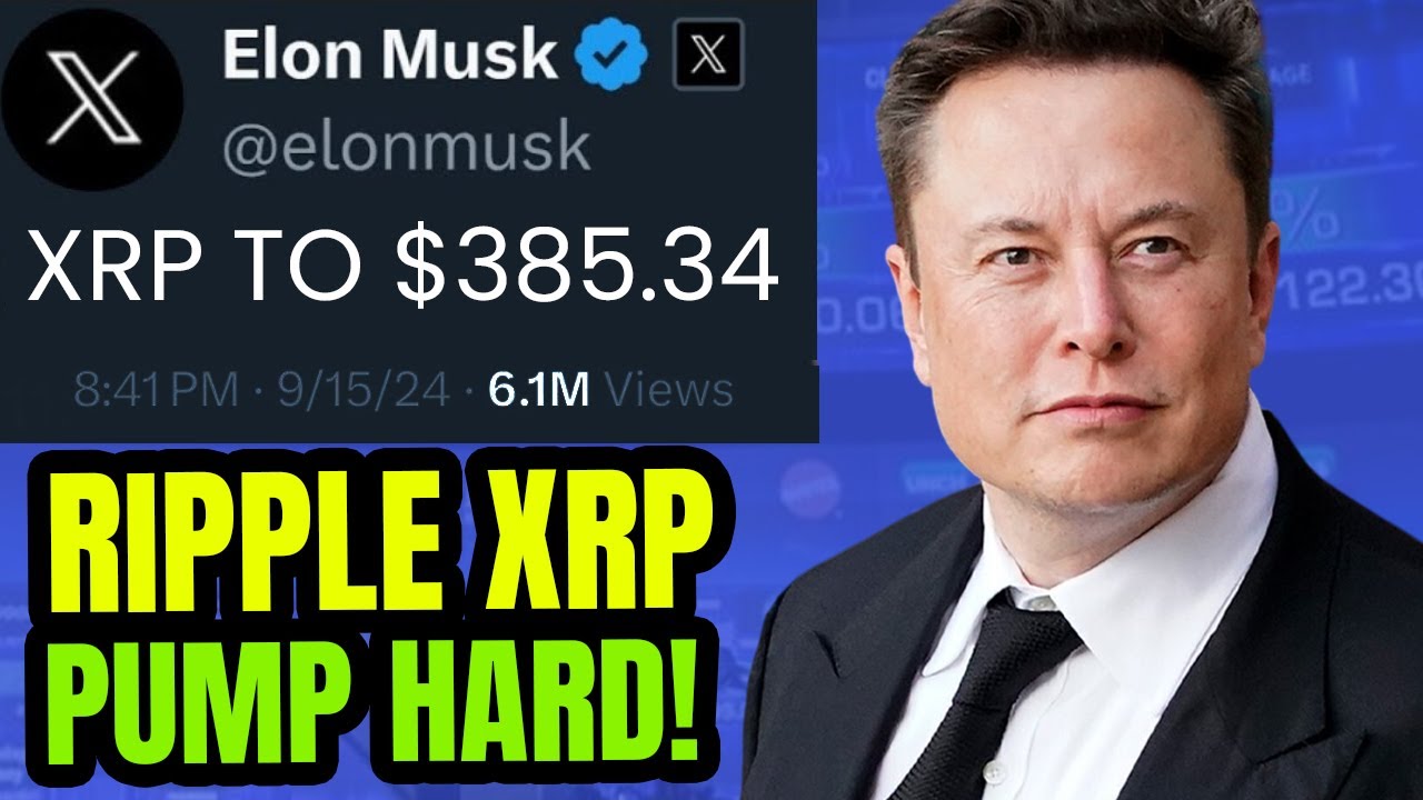 XRP RIPPLE ELON MUSK SETS EYES ON XRP XRP Will Hit 385 34 xrp-ripple-elon-musk-sets-eyes-on-xrp-xrp-will-hit-385-34