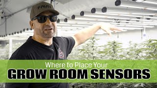 Where To Place Your Grow Room Sensors