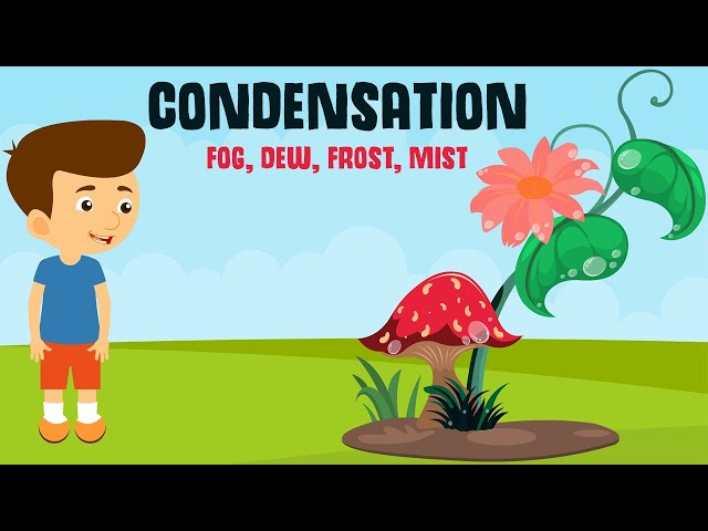 Condensation and it's forms  | Dew, Fog, Frost and Mist | Video for Kids class=