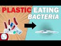 Can CO2 & Plastic-Eating Bacteria Stop Climate Change?!