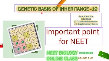 Principles of Inheritance & Variation L 19- EPISTASIS COMPLEMENTORY GENE | CLASS12 | XCHANGE INOS |