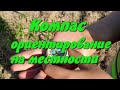 Ориентирование на местности по компасу