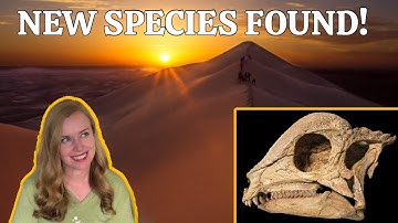 "Headbutting" Dinosaur Found!
