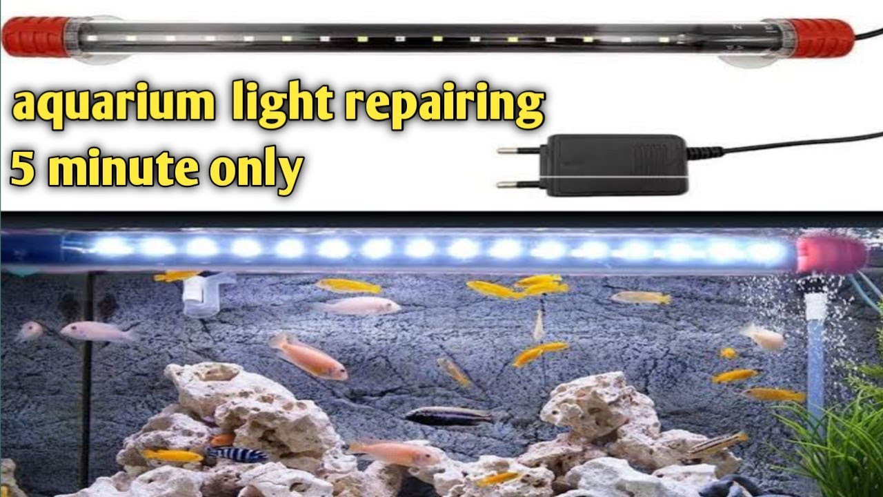 how to repair aquarium light at homeHow to repair LED tube light